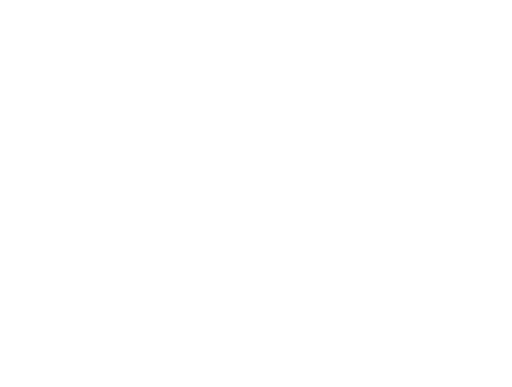 USA: BRAVO