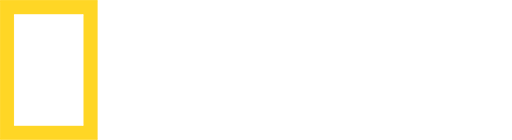 USA: Nat Geo Wild HD