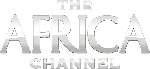 US | Africa Channel