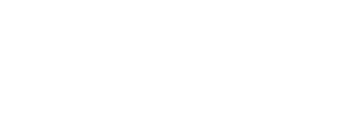 US: Willow Cricket
